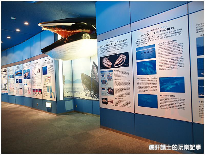 【名古屋景點】名古屋港水族館 適合親子同遊的好地點 - nurseilife.cc