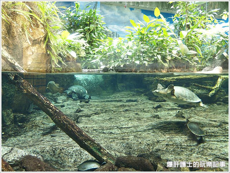 【名古屋景點】名古屋港水族館 適合親子同遊的好地點 - nurseilife.cc