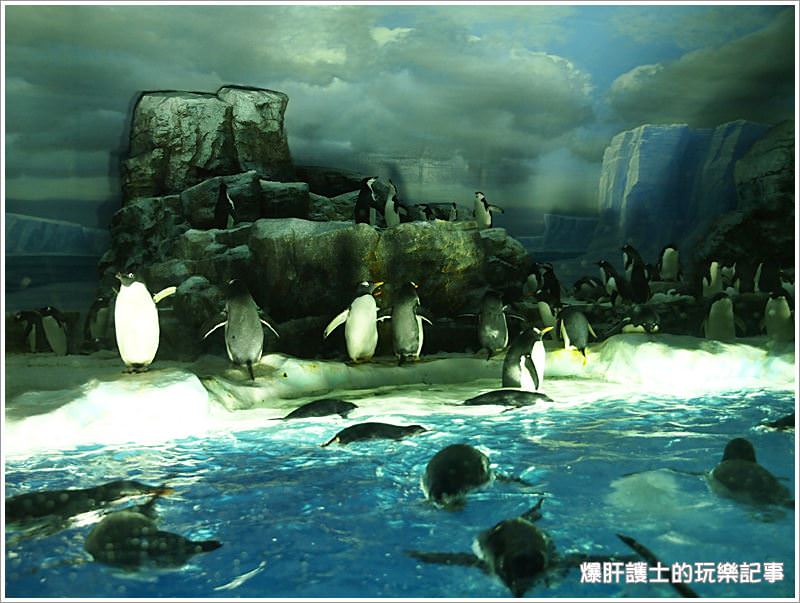 【名古屋景點】名古屋港水族館 適合親子同遊的好地點 - nurseilife.cc