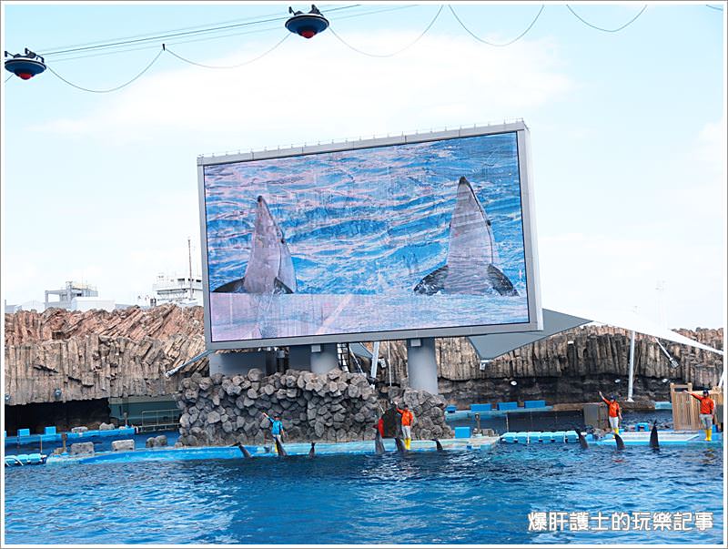 【名古屋景點】名古屋港水族館 適合親子同遊的好地點 - nurseilife.cc