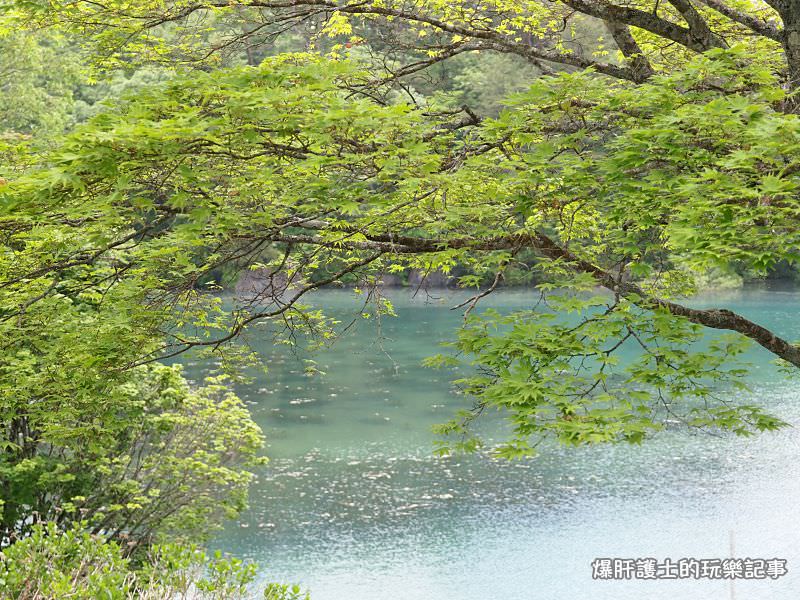 【福島旅遊】盤梯山五色沼自然探勝 到日本玩也享受在山林間悠閒的健行！ - nurseilife.cc