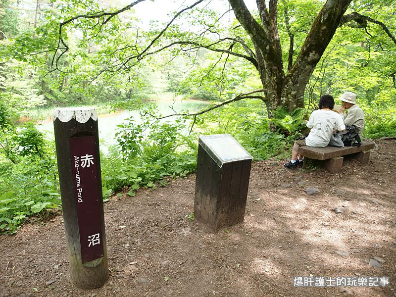 【福島旅遊】盤梯山五色沼自然探勝 到日本玩也享受在山林間悠閒的健行！ - nurseilife.cc