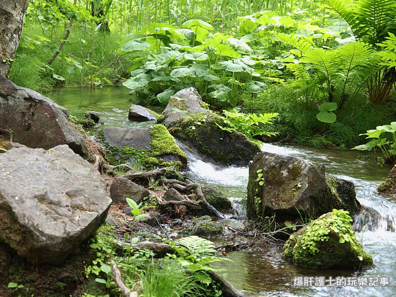 【福島旅遊】盤梯山五色沼自然探勝 到日本玩也享受在山林間悠閒的健行！ - nurseilife.cc