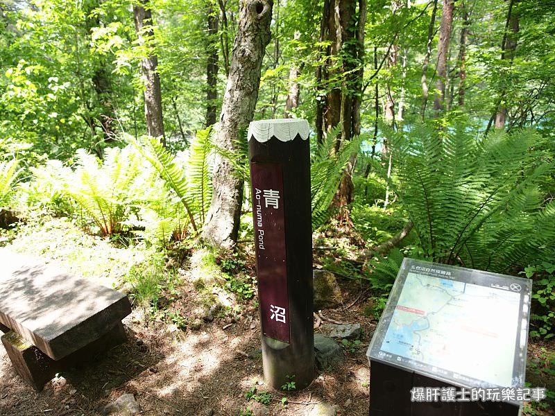 【福島旅遊】盤梯山五色沼自然探勝 到日本玩也享受在山林間悠閒的健行！ - nurseilife.cc