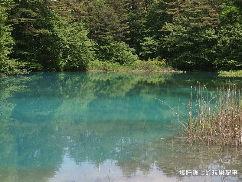 【福島旅遊】盤梯山五色沼自然探勝 到日本玩也享受在山林間悠閒的健行！ - nurseilife.cc