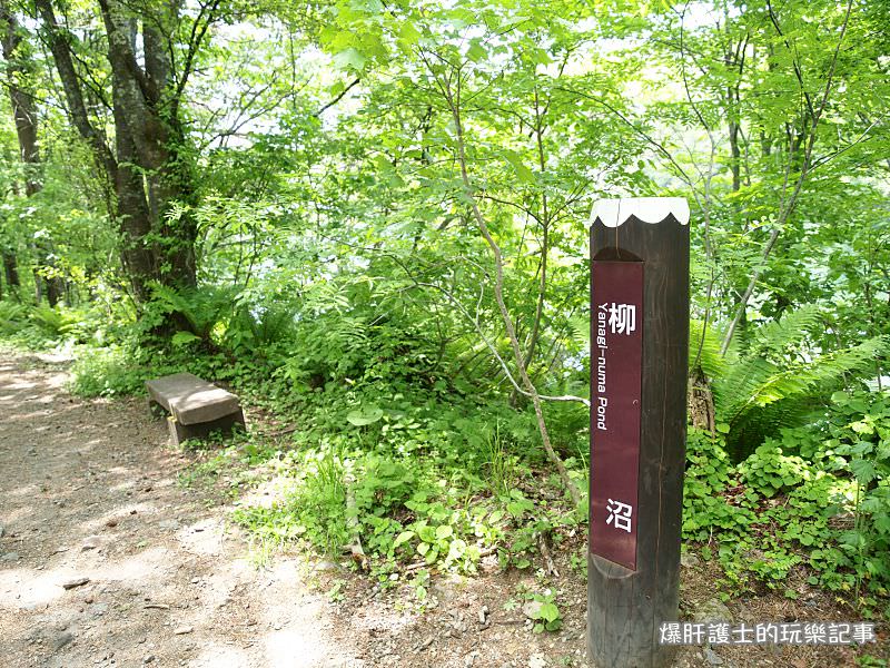 【福島旅遊】盤梯山五色沼自然探勝 到日本玩也享受在山林間悠閒的健行！ - nurseilife.cc