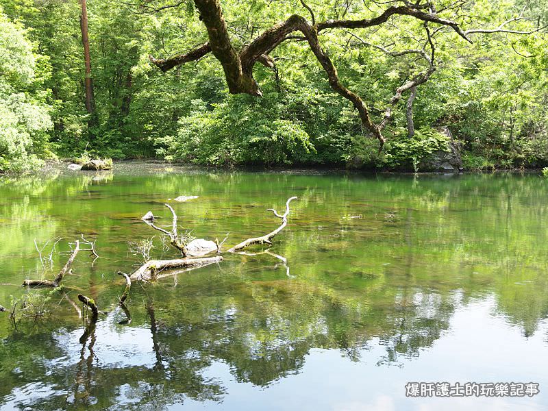 【福島旅遊】盤梯山五色沼自然探勝 到日本玩也享受在山林間悠閒的健行！ - nurseilife.cc