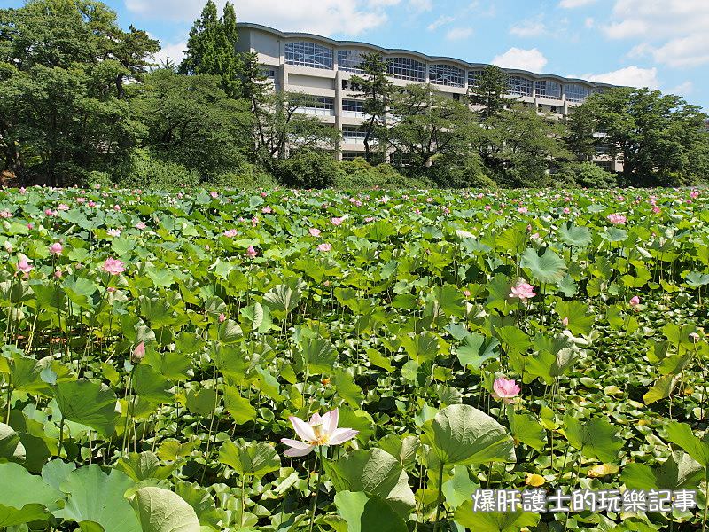 【秋田美食】秋田夏日限定 婆婆把噗 花朵造型的泡泡冰 電影遠在身邊的場景一角 - nurseilife.cc