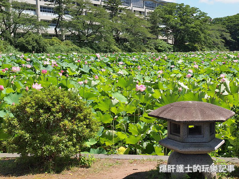 【秋田美食】秋田夏日限定 婆婆把噗 花朵造型的泡泡冰 電影遠在身邊的場景一角 - nurseilife.cc