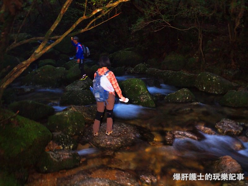 日本必去景點！宮崎駿魔法森林、世界自然景觀遺產屋久島繩文杉！ - nurseilife.cc