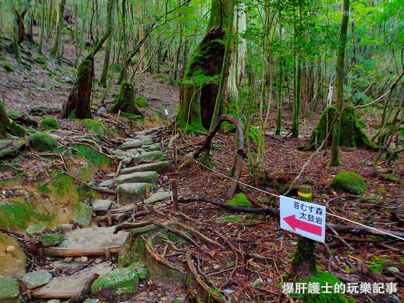 日本必去景點！宮崎駿魔法森林、世界自然景觀遺產屋久島繩文杉！ - nurseilife.cc