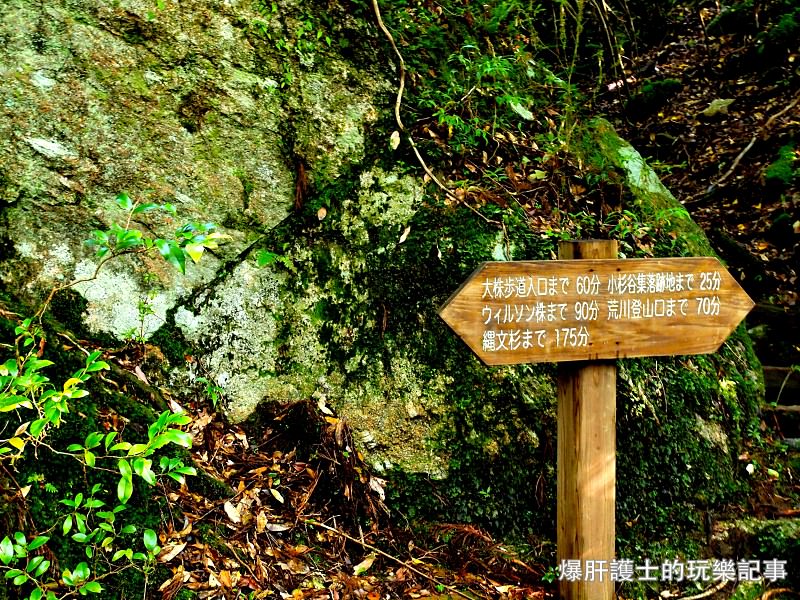 日本必去景點！宮崎駿魔法森林、世界自然景觀遺產屋久島繩文杉！ - nurseilife.cc