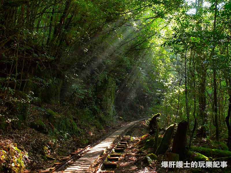 日本必去景點！宮崎駿魔法森林、世界自然景觀遺產屋久島繩文杉！ - nurseilife.cc