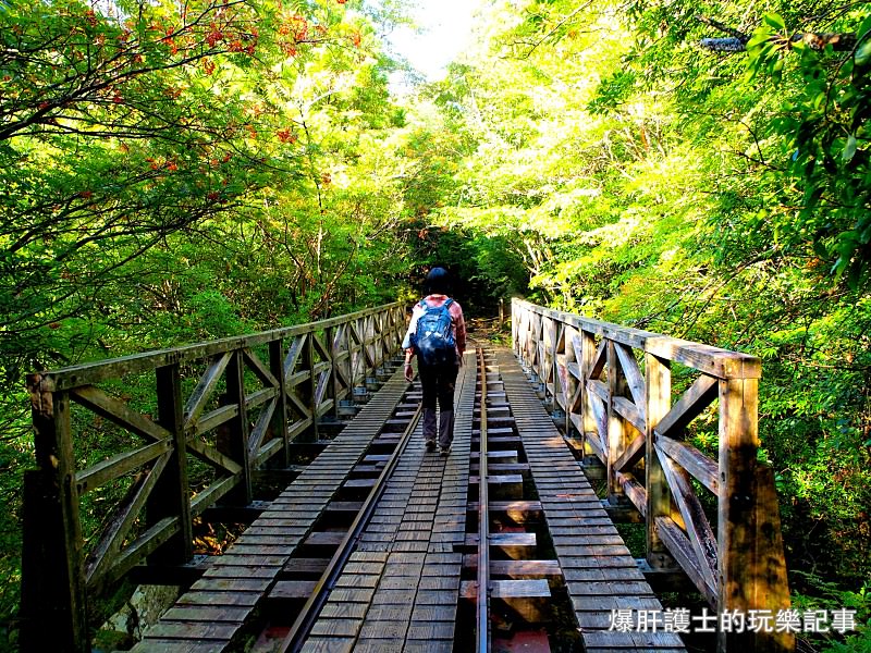 日本必去景點！宮崎駿魔法森林、世界自然景觀遺產屋久島繩文杉！ - nurseilife.cc