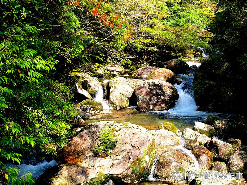 日本必去景點！宮崎駿魔法森林、世界自然景觀遺產屋久島繩文杉！ - nurseilife.cc