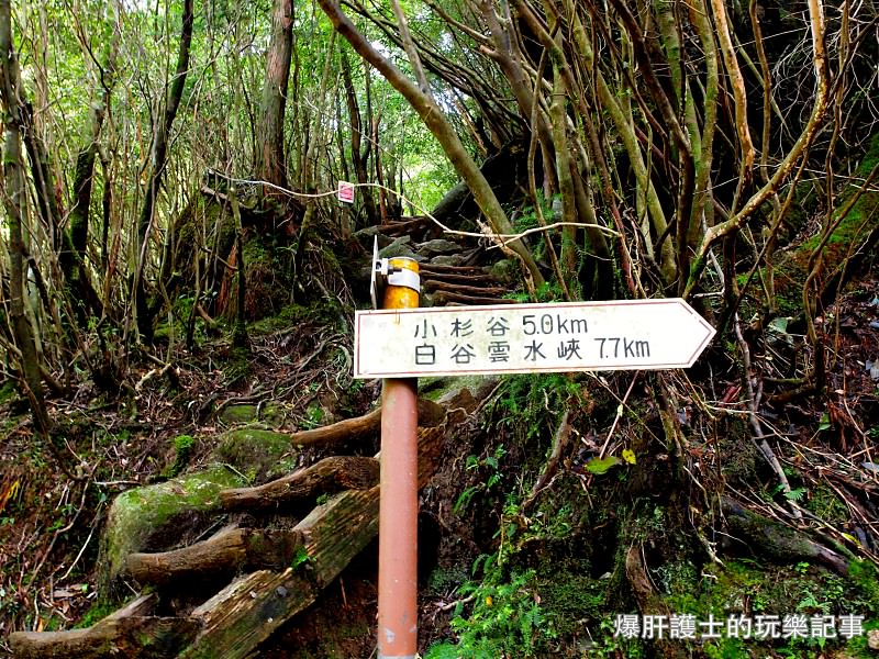 日本必去景點！宮崎駿魔法森林、世界自然景觀遺產屋久島繩文杉！ - nurseilife.cc