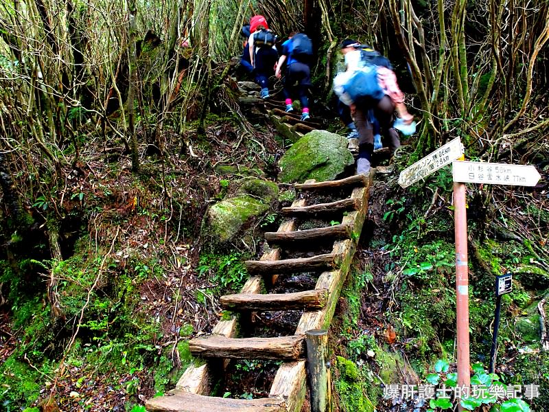 日本必去景點！宮崎駿魔法森林、世界自然景觀遺產屋久島繩文杉！ - nurseilife.cc