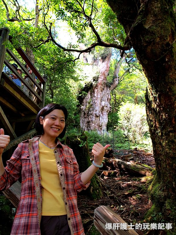 日本必去景點！宮崎駿魔法森林、世界自然景觀遺產屋久島繩文杉！ - nurseilife.cc