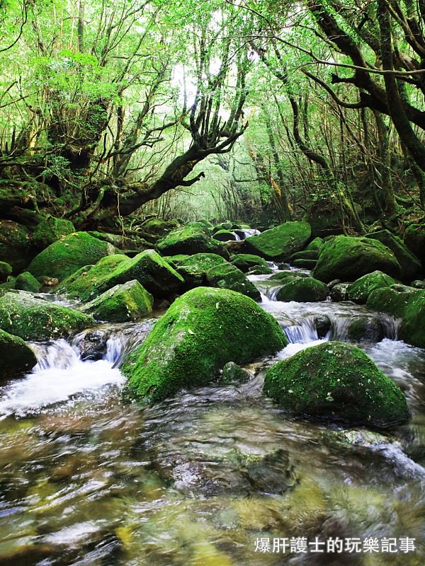 日本必去景點！宮崎駿魔法森林、世界自然景觀遺產屋久島繩文杉！ - nurseilife.cc