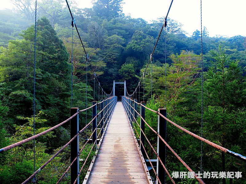 日本必去景點！宮崎駿魔法森林、世界自然景觀遺產屋久島繩文杉！ - nurseilife.cc