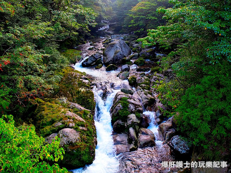 日本必去景點！宮崎駿魔法森林、世界自然景觀遺產屋久島繩文杉！ - nurseilife.cc