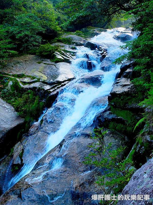 日本必去景點！宮崎駿魔法森林、世界自然景觀遺產屋久島繩文杉！ - nurseilife.cc