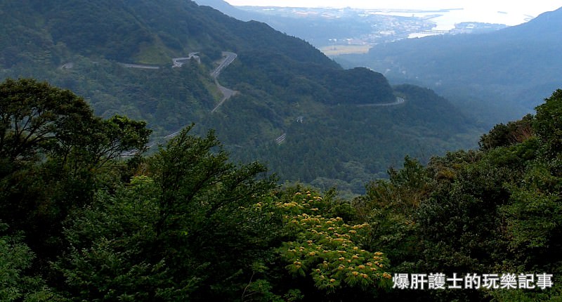 日本必去景點！宮崎駿魔法森林、世界自然景觀遺產屋久島繩文杉！ - nurseilife.cc