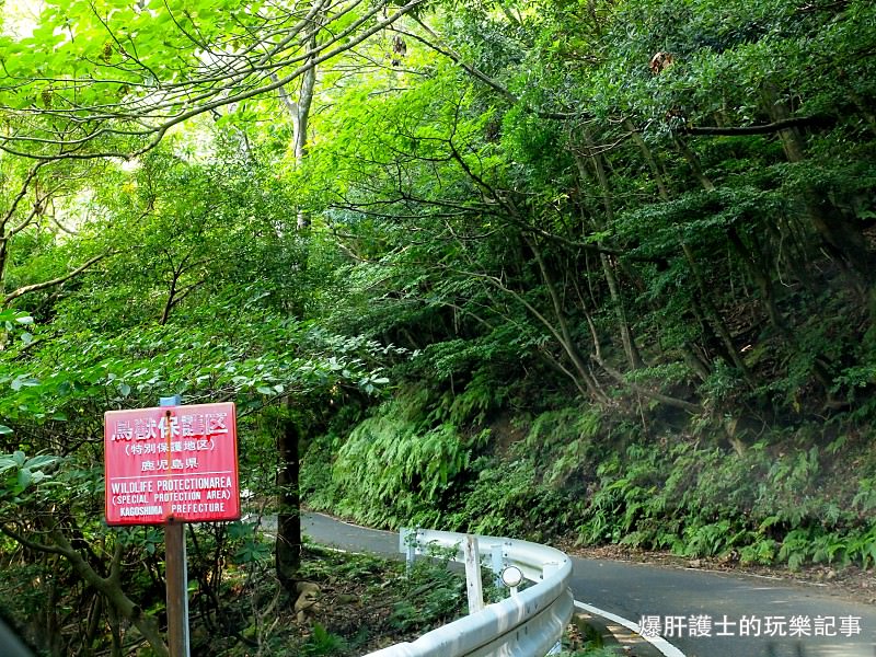 【屋久島】有小鹿斑比出沒的西部林道 登錄為世界遺產的海岸線 - nurseilife.cc