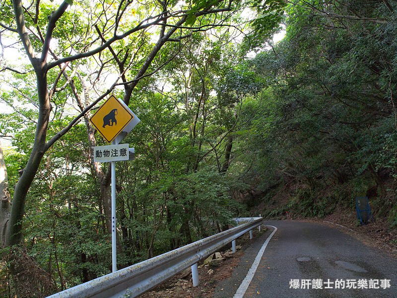 【屋久島】有小鹿斑比出沒的西部林道 登錄為世界遺產的海岸線 - nurseilife.cc