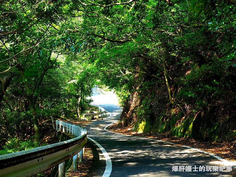 【屋久島】有小鹿斑比出沒的西部林道 登錄為世界遺產的海岸線 - nurseilife.cc