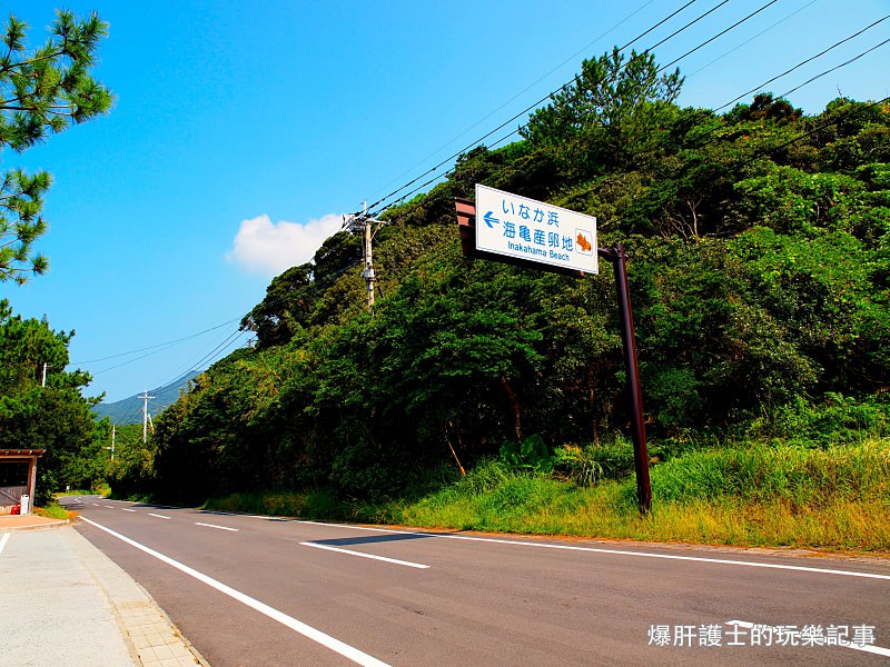 【屋久島】永田濱海灘 國際濕地公約保護的超絕美海龜產卵地 - nurseilife.cc