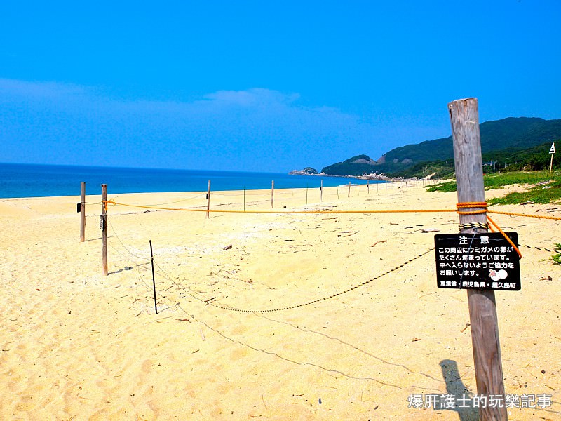 【屋久島】永田濱海灘 國際濕地公約保護的超絕美海龜產卵地 - nurseilife.cc