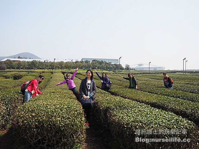 【濟州島】O'Sulloc tea museum 雪綠茶博物館 - nurseilife.cc