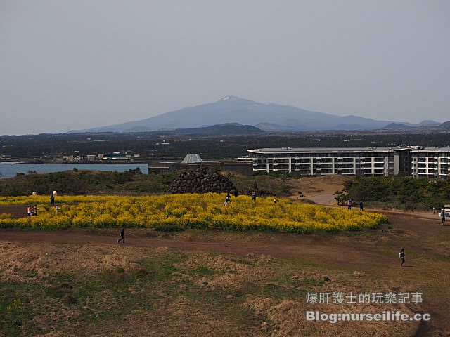 【濟州島】涉地可支(섭지코지) Sopjikogi 最多電影拍攝的景點 - nurseilife.cc