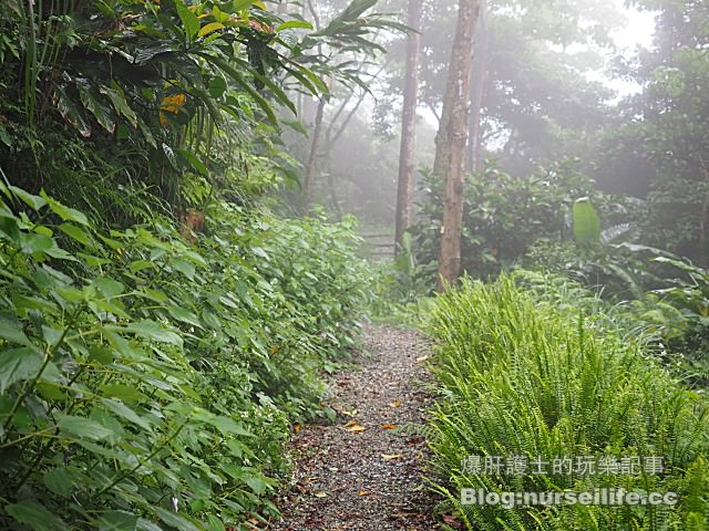 【台北】三生步道 賞櫻、賞桐的好去處 - nurseilife.cc