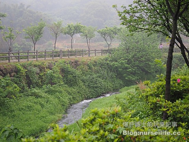 【台北】三生步道 賞櫻、賞桐的好去處 - nurseilife.cc