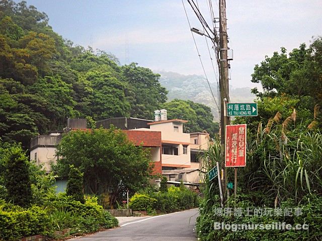 泰山賞桐秘境 柯厝坑 - nurseilife.cc