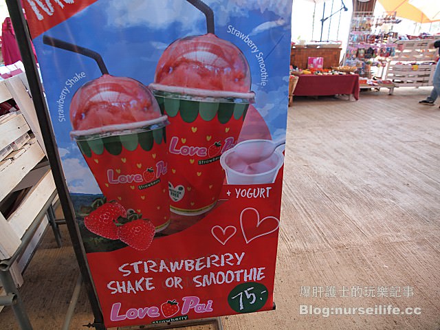 【擺鎮\拜城\pai】Love Strawberry Pai เลิฟสตรอเบอร์ - nurseilife.cc