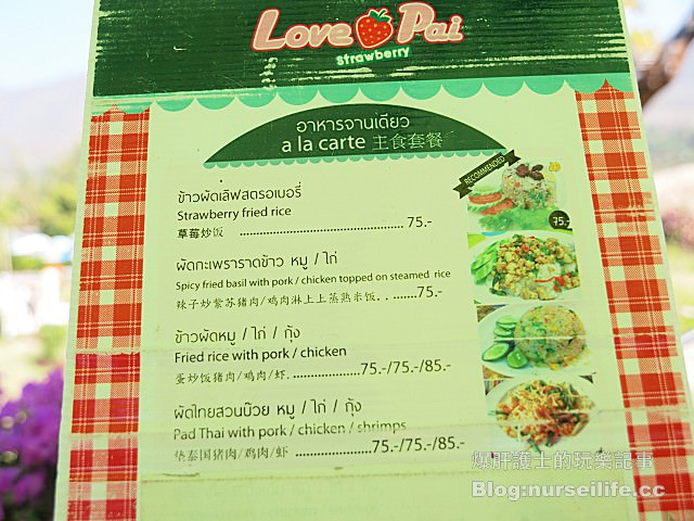 【擺鎮\拜城\pai】Love Strawberry Pai เลิฟสตรอเบอร์ - nurseilife.cc