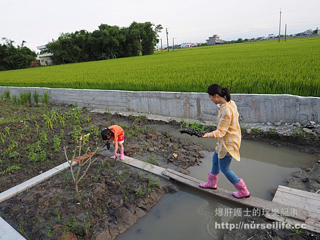 【宜蘭】賣魚郎農家 來去農家住一晚體驗輕務農之旅 - nurseilife.cc