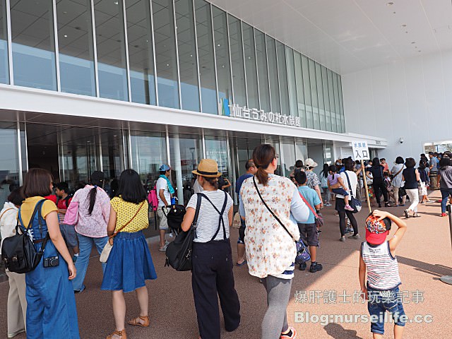 【仙台旅遊】仙台海之杜水族館 東北最大規模的水族館 - nurseilife.cc