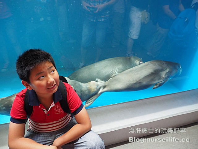 【仙台旅遊】仙台海之杜水族館 東北最大規模的水族館 - nurseilife.cc