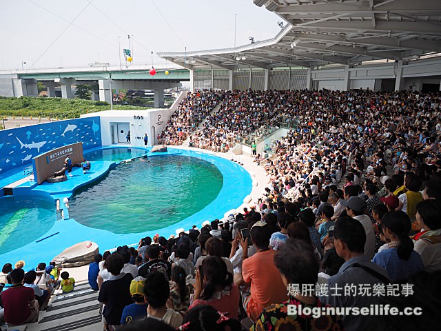 【仙台旅遊】仙台海之杜水族館 東北最大規模的水族館 - nurseilife.cc