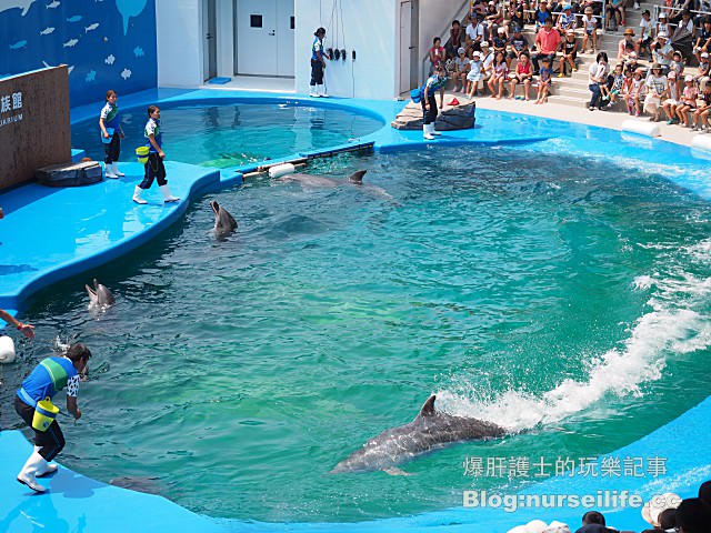 【仙台旅遊】仙台海之杜水族館 東北最大規模的水族館 - nurseilife.cc