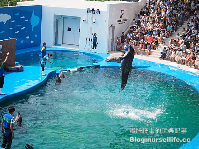 【仙台旅遊】仙台海之杜水族館 東北最大規模的水族館 - nurseilife.cc