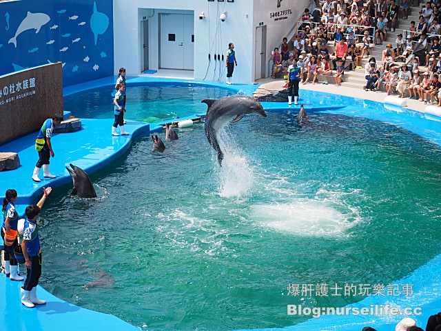 【仙台旅遊】仙台海之杜水族館 東北最大規模的水族館 - nurseilife.cc