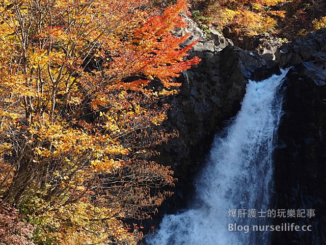 【日本賞楓】東北秋田紅葉景點 法体の滝 法體瀑布 - nurseilife.cc