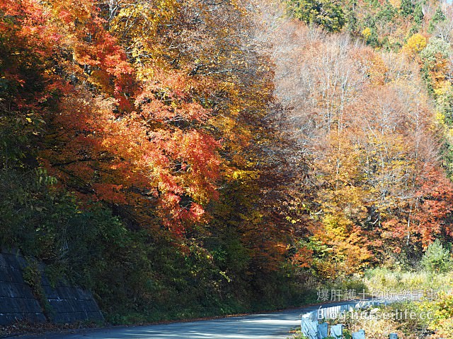 【日本賞楓】東北秋田紅葉景點 法体の滝 法體瀑布 - nurseilife.cc