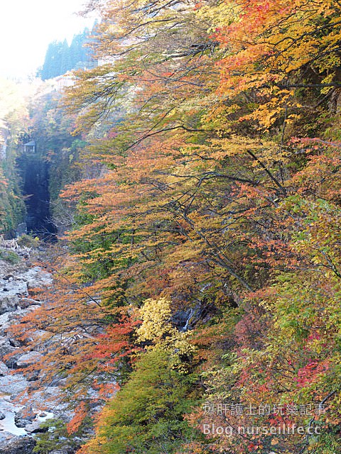 【日本賞楓】東北秋田紅葉景點 小安峽大噴湯 Oyasu-kyo Ravine Daifuntou - nurseilife.cc