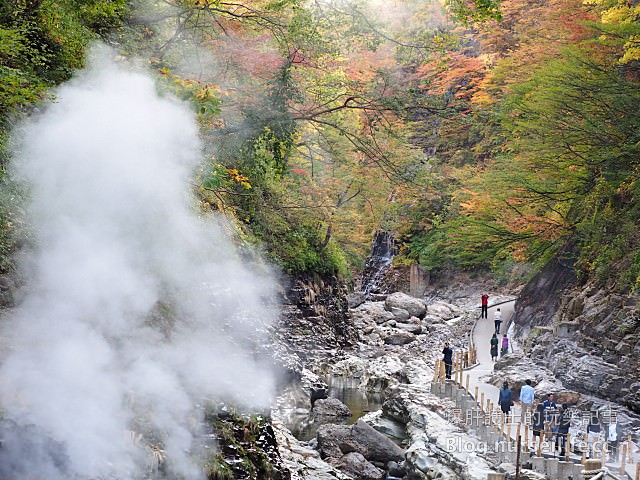 【日本賞楓】東北秋田紅葉景點 小安峽大噴湯 Oyasu-kyo Ravine Daifuntou - nurseilife.cc